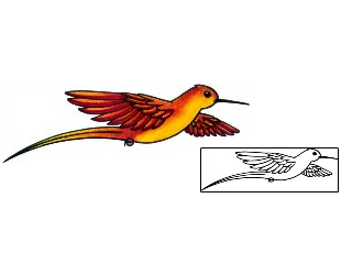 Hummingbird Tattoo Animal tattoo | AAF-02825