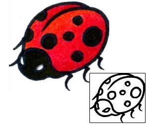 Ladybug Tattoo Insects tattoo | AAF-08557