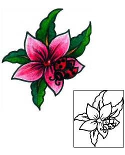Ladybug Tattoo Insects tattoo | AAF-08692