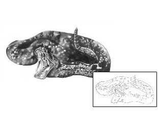 Reptiles & Amphibians Tattoo Horror tattoo | ACF-00019