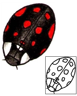 Ladybug Tattoo Insects tattoo | ADF-00177