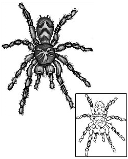 Spider Tattoo Insects tattoo | ANF-00433