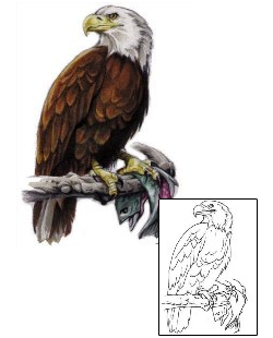 Eagle Tattoo Animal tattoo | APF-00080