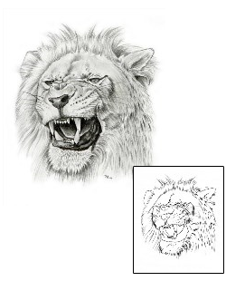 Lion Tattoo Animal tattoo | AUF-00062
