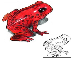 Frog Tattoo Reptiles & Amphibians tattoo | AXF-00353