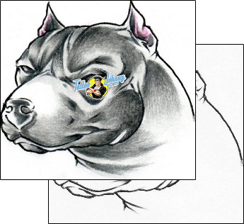 Dog Tattoo dog-tattoos-diaconu-alexandru-axf-00491