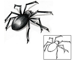 Spider Tattoo Insects tattoo | AXF-00547