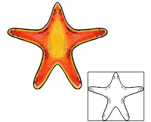 Starfish Tattoo Marine Life tattoo | AXF-00548