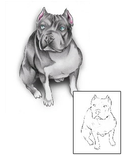 Dog Tattoo Kevin Pit Bull Tattoo