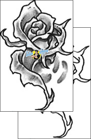Rose Tattoo plant-life-rose-tattoos-brant-norman-bnf-00142