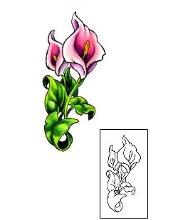 Picture of Pink Calla Lillies Tattoo