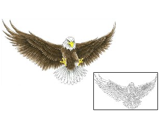 Eagle Tattoo Animal tattoo | CCF-00295