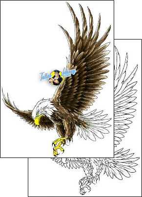 Eagle Tattoo animal-eagle-tattoos-cherry-creek-flash-ccf-00303