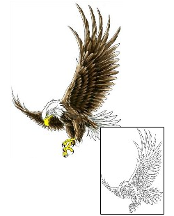Eagle Tattoo Animal tattoo | CCF-00303