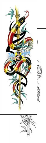 Snake Tattoo reptiles-and-amphibians-snake-tattoos-cherry-creek-flash-ccf-00819
