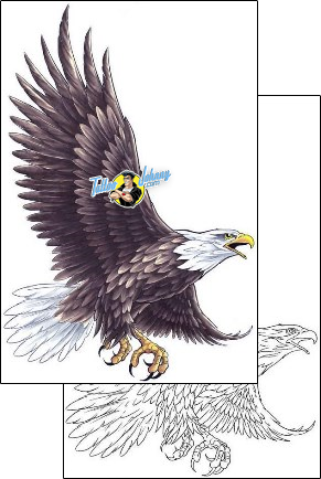 Eagle Tattoo animal-eagle-tattoos-cherry-creek-flash-ccf-00992