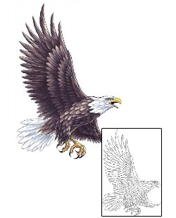 Eagle Tattoo Animal tattoo | CCF-00992