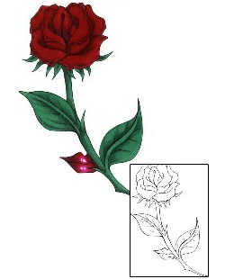 Rose Tattoo Plant Life tattoo | CEF-00021