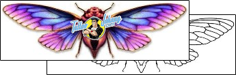 Moth Tattoo insects-moth-tattoos-david-bollt-dbf-00268