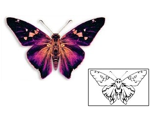 Butterfly Tattoo Insects tattoo | DBF-00271