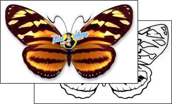 Butterfly Tattoo insects-butterfly-tattoos-david-bollt-dbf-00277