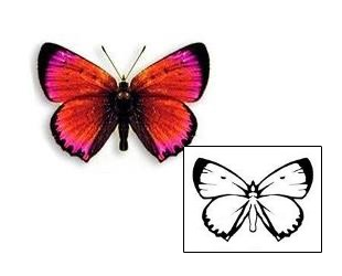 Butterfly Tattoo Insects tattoo | DBF-00300