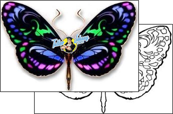 Butterfly Tattoo dbf-00308
