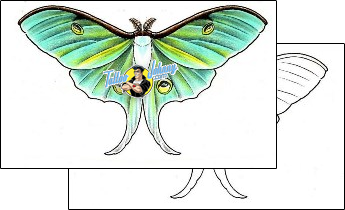 Moth Tattoo insects-moth-tattoos-damien-friesz-dff-00793