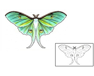 Moth Tattoo Insects tattoo | DFF-00793