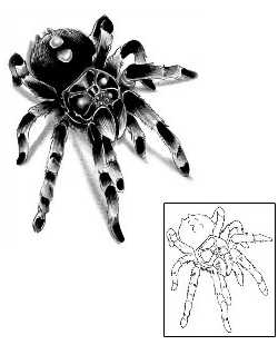 Spider Tattoo Insects tattoo | G1F-00607