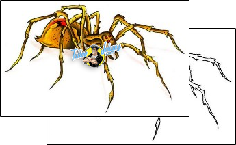 Spider Tattoo insects-spider-tattoos-gary-davis-g1f-01302