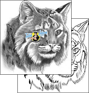 Cat Tattoo animal-cat-tattoos-greg-ashcraft-gef-00052