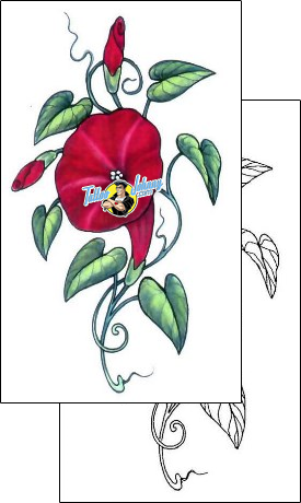 Vine Tattoo plant-life-vine-tattoos-gail-somers-gsf-00426
