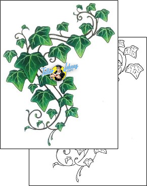 Vine Tattoo plant-life-vine-tattoos-gail-somers-gsf-01372