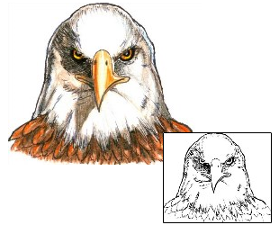 Eagle Tattoo Animal tattoo | HGF-00356