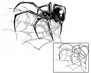 Spider Web Tattoo Insects tattoo | HIF-00016