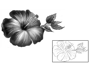 Hibiscus Tattoo Plant Life tattoo | INF-00031