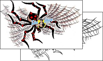 Spider Tattoo insects-spider-tattoos-jason-storey-j7f-00087