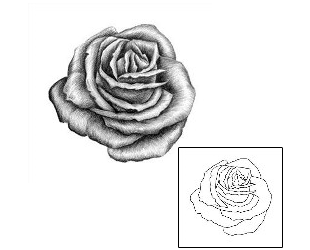 Rose Tattoo Plant Life tattoo | JAF-00022