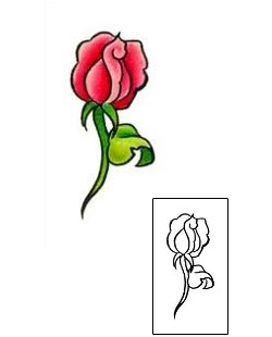 Rose Tattoo Rosalinda Rose Tattoo