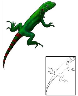 Lizard Tattoo Reptiles & Amphibians tattoo | JKF-00021