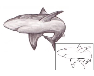 Shark Tattoo Marine Life tattoo | JKF-00093