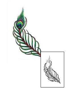 Feather Tattoo Miscellaneous tattoo | JNF-00056