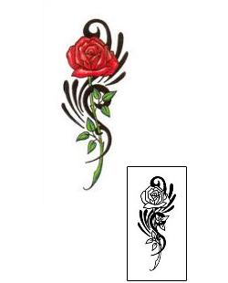 Tribal Tattoo Tattoo Styles tattoo | JNF-00198