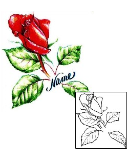 Rose Tattoo Miscellaneous tattoo | JPF-00131