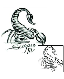 Scorpio Tattoo Tattoo Styles tattoo | JPF-00326