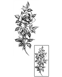 Rose Tattoo Plant Life tattoo | JPF-00434