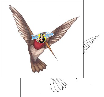 Bird Tattoo animal-bird-tattoos-john-swope-jsf-00213