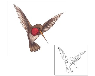 Hummingbird Tattoo Animal tattoo | JSF-00213