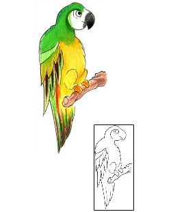 Bird Tattoo Miscellaneous tattoo | KJF-00053